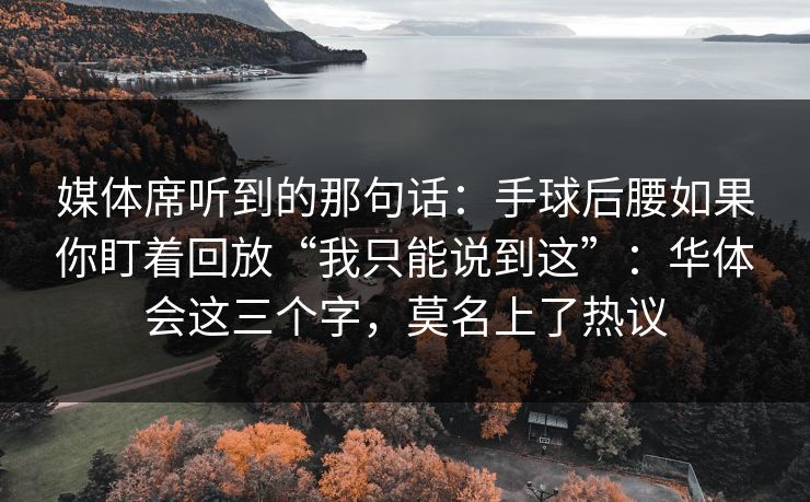 媒体席听到的那句话：手球后腰如果你盯着回放“我只能说到这”：华体会这三个字，莫名上了热议