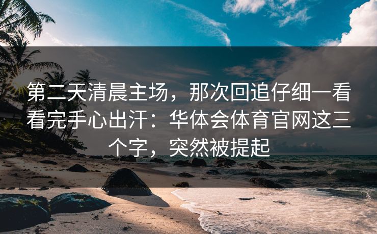 第二天清晨主场，那次回追仔细一看看完手心出汗：华体会体育官网这三个字，突然被提起