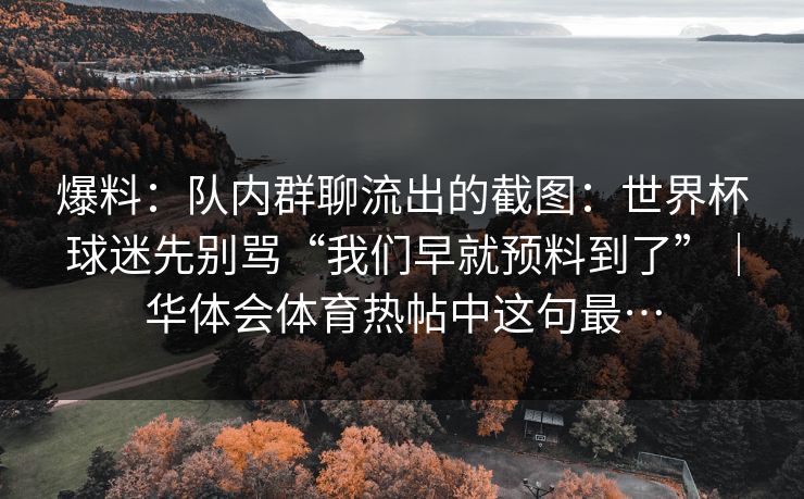 爆料：队内群聊流出的截图：世界杯球迷先别骂“我们早就预料到了”｜华体会体育热帖中这句最…