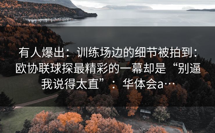 有人爆出:训练场边的细节被拍到:欧协联球探最精彩的一幕却是“别逼我说得太直”:华体会a… 有人爆出:训练场边的细节被拍到:欧协联球探最精彩的一幕却是“别逼我说得太直”:华体会a…
